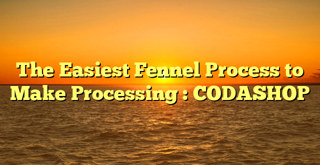 The Easiest Fennel Process to Make Processing : CODASHOP