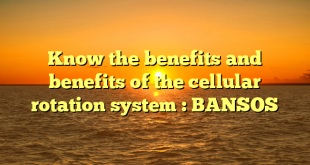 Know the benefits and benefits of the cellular rotation system : BANSOS