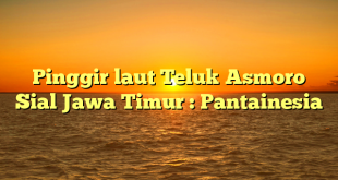Pinggir laut Teluk Asmoro Sial Jawa Timur : Pantainesia