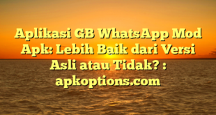Aplikasi GB WhatsApp Mod Apk: Lebih Baik dari Versi Asli atau Tidak? : apkoptions.com