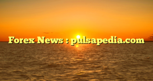 Forex News : pulsapedia.com