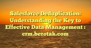 Salesforce Deduplication: Understanding the Key to Effective Data Management : crm.berotak.com