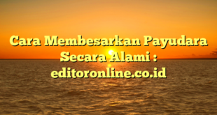 Cara Membesarkan Payudara Secara Alami : editoronline.co.id